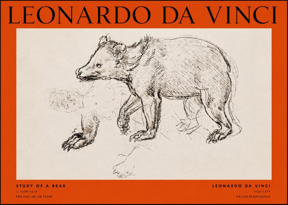Leonardo da Vinci Study of a Bear No2 - Affiche
