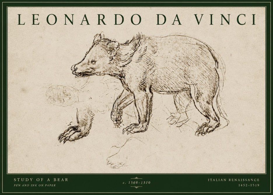 Leonardo da Vinci Study of a Bear No4 - Affiche