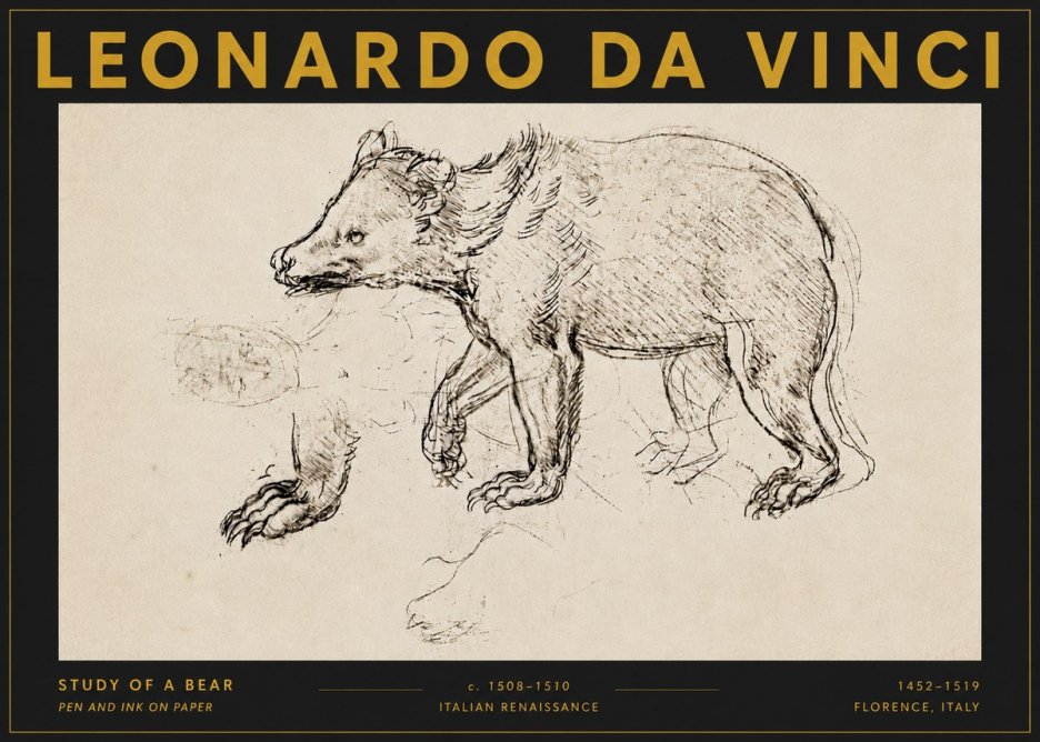 Leonardo da Vinci Study of a Bear No5 - Affiche