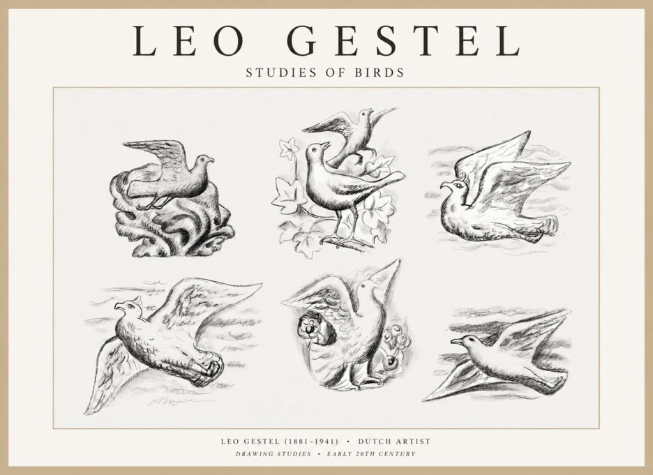 Leo Gestel Studies of Birds No1 - Affiche