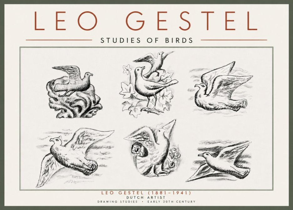 Leo Gestel Studies of Birds No5 - Affiche