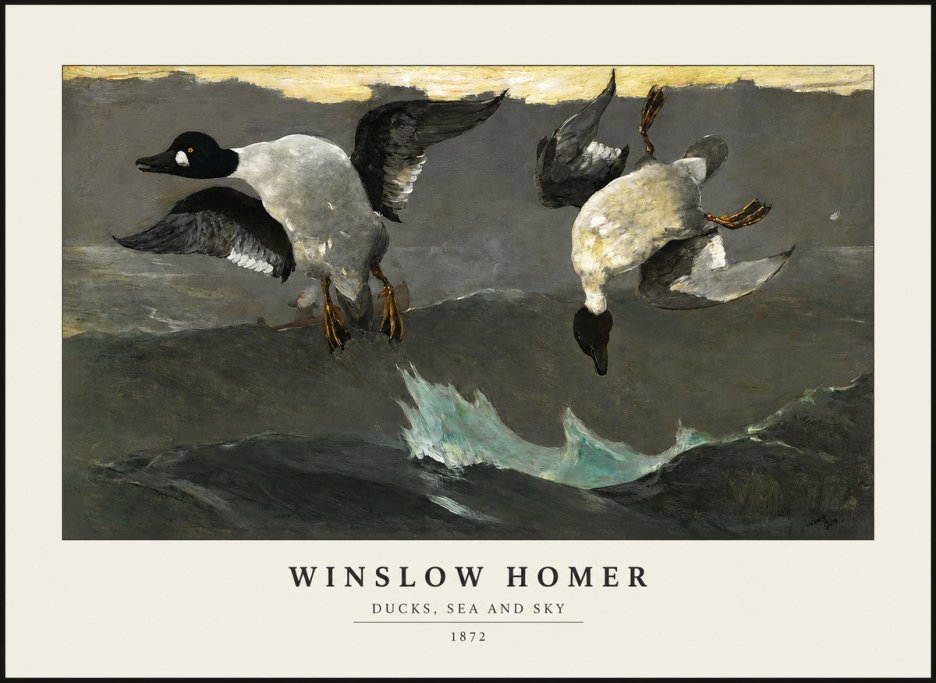 Winslow Homer Ducks, Sea and Sky No1 - Affiche