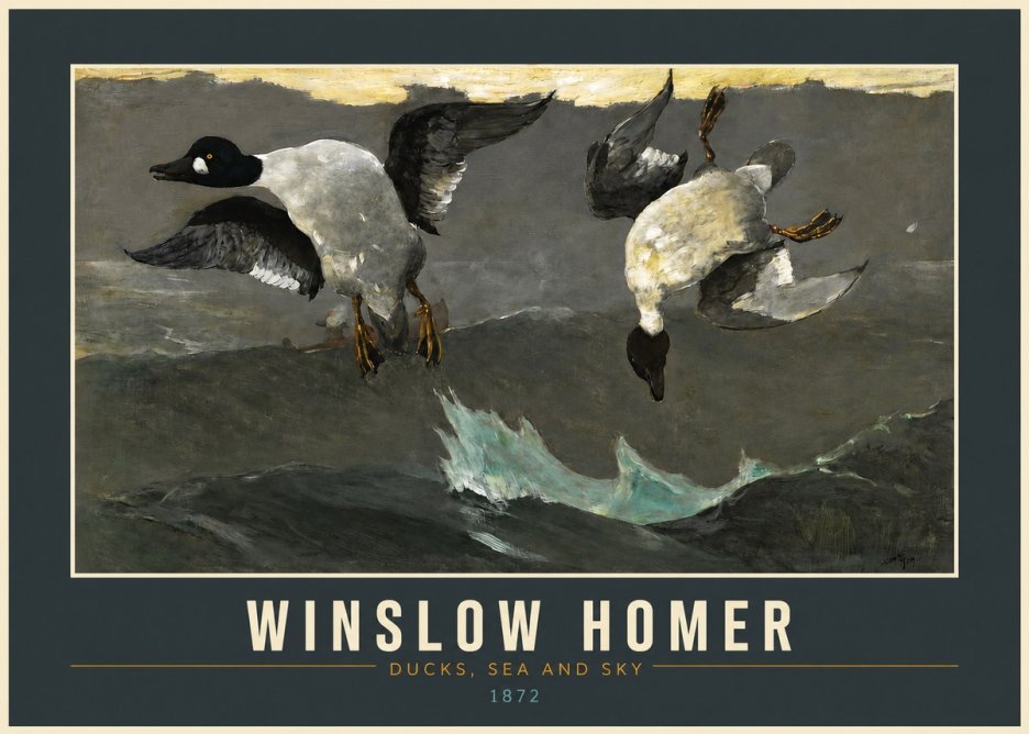 Winslow Homer Ducks, Sea and Sky No2 - Affiche