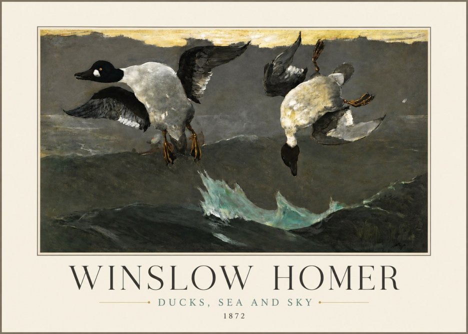 Winslow Homer Ducks, Sea and Sky No3 - Affiche