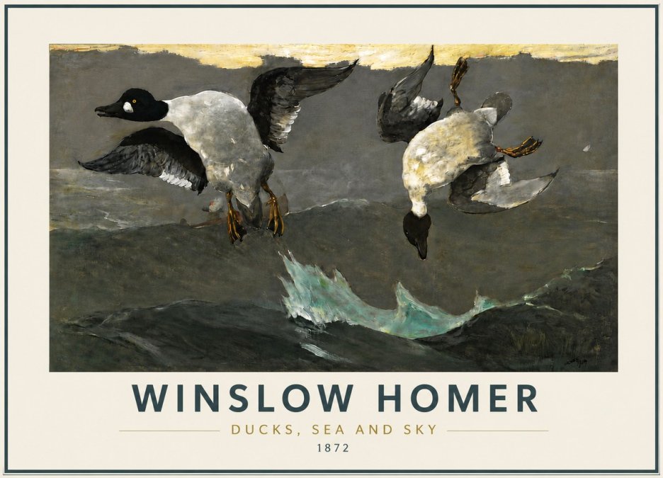 Winslow Homer Ducks, Sea and Sky No5 - Affiche