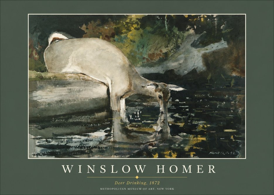 Winslow Homer Deer Drinking No2 - Affiche