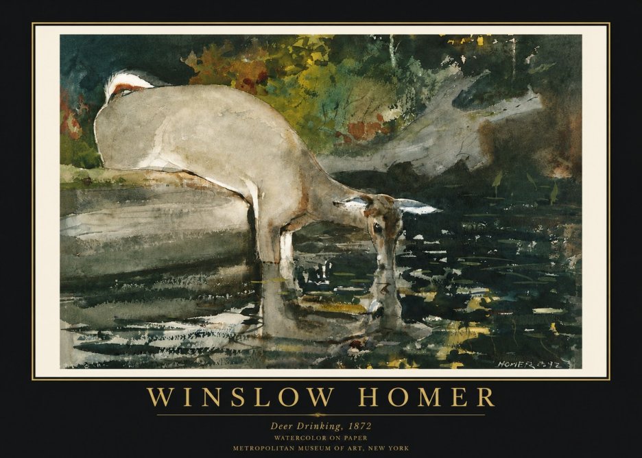 Winslow Homer Deer Drinking No3 - Affiche