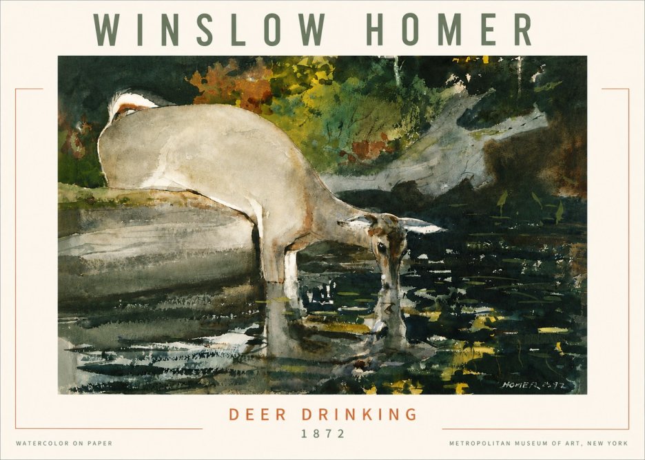 Winslow Homer Deer Drinking No4 - Affiche