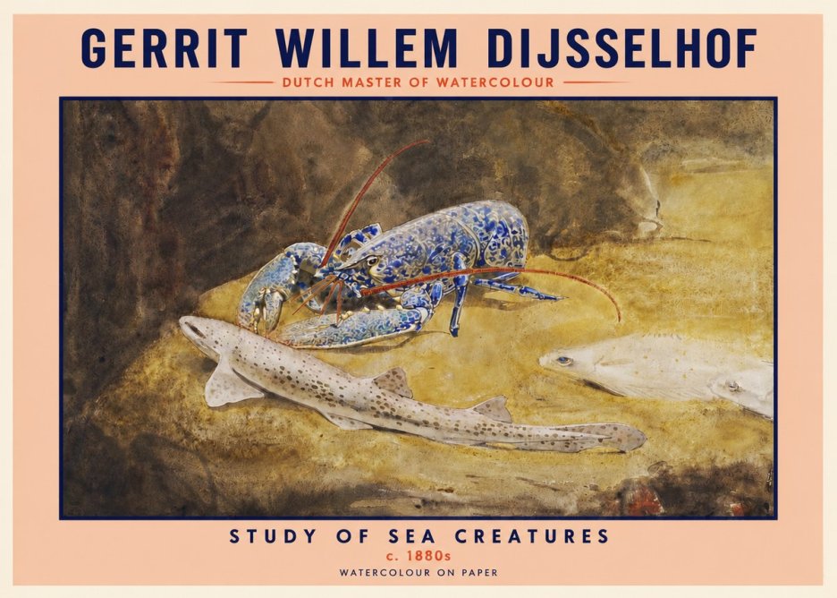 Gerrit Willem Dijsselhof Study of Sea Creatures No2 - Affiche