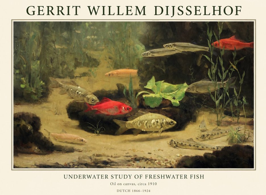 Gerrit Willem Dijsselhof Underwater Study of Freshwater Fish No1 - Affiche
