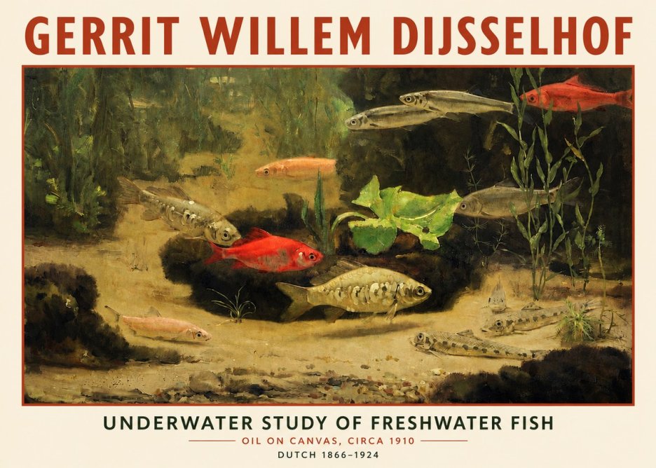 Gerrit Willem Dijsselhof Underwater Study of Freshwater Fish No3 - Affiche