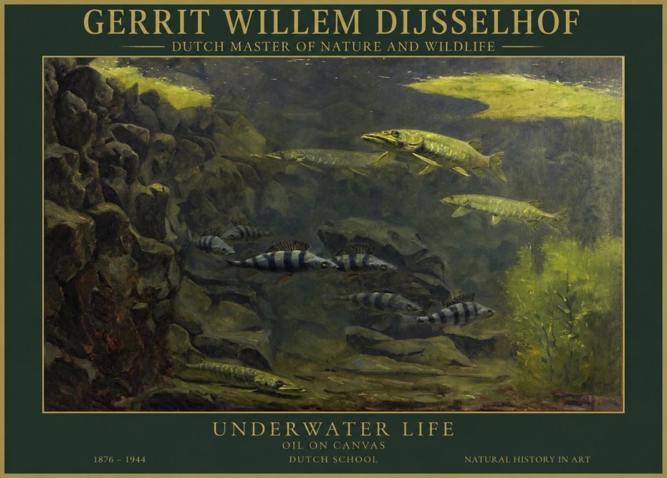Gerrit Willem Dijsselhof Underwater Life No1 - Affiche