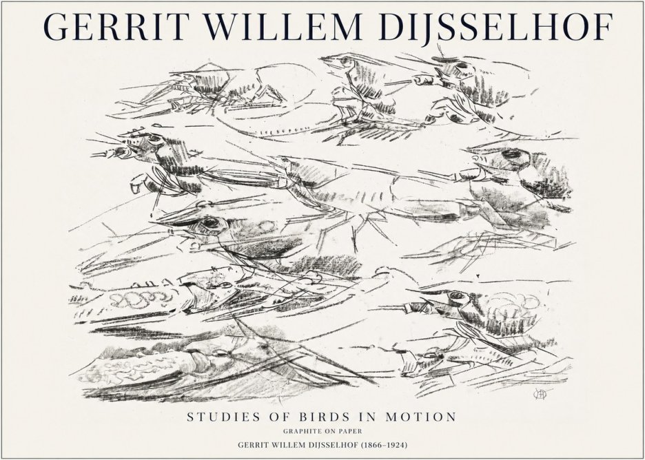 Gerrit Willem Dijsselhof Studies of Birds in Motion No1 - Affiche