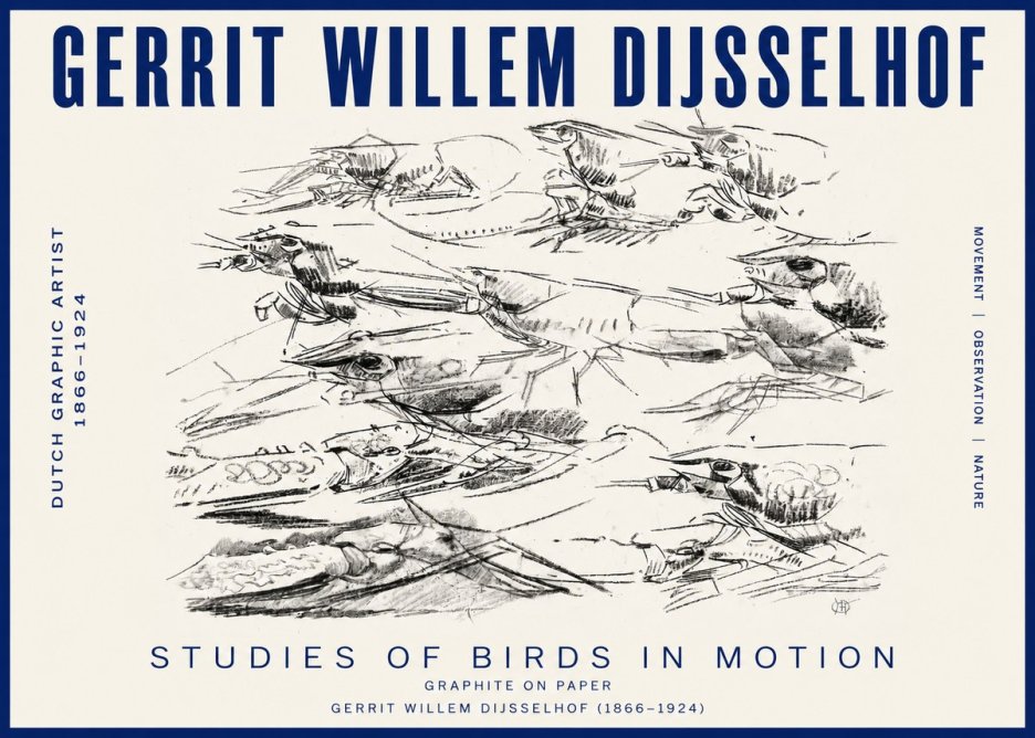 Gerrit Willem Dijsselhof Studies of Birds in Motion No3 - Affiche