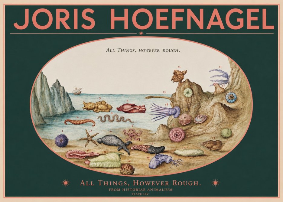 Joris Hoefnagel Totvs Echinvs Asper. Plate Liv No3 - Affiche