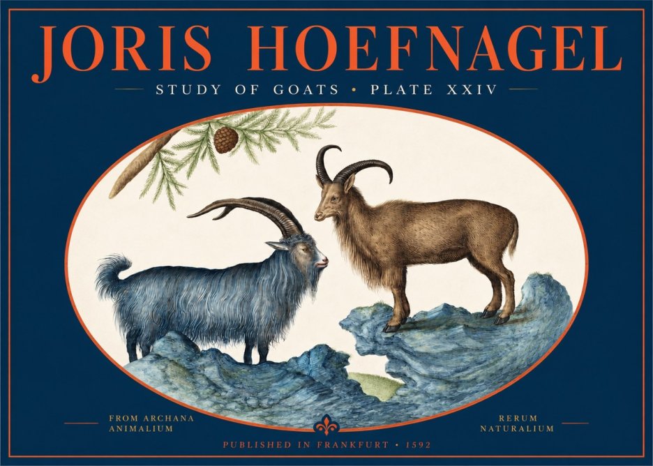 Joris Hoefnagel Two Mountain Goats from the Series Quadrupeds No3 - Affiche