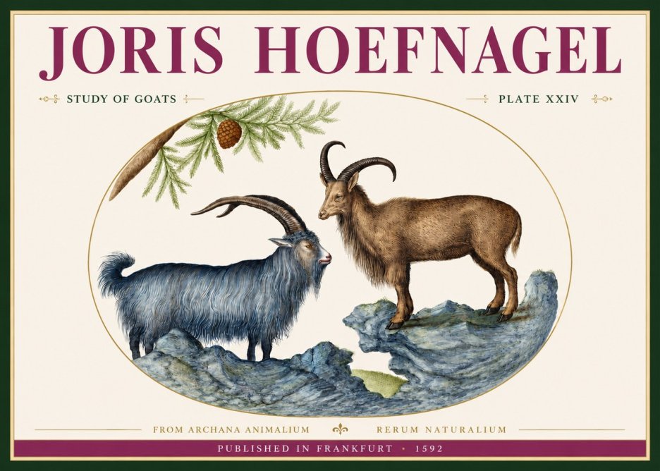 Joris Hoefnagel Two Mountain Goats from the Series Quadrupeds No4 - Affiche