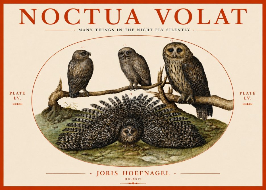 Joris Hoefnagel Noctva Volat No4 - Affiche