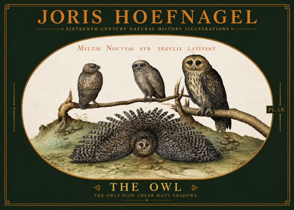 Joris Hoefnagel Noctva Volat No6 - Affiche