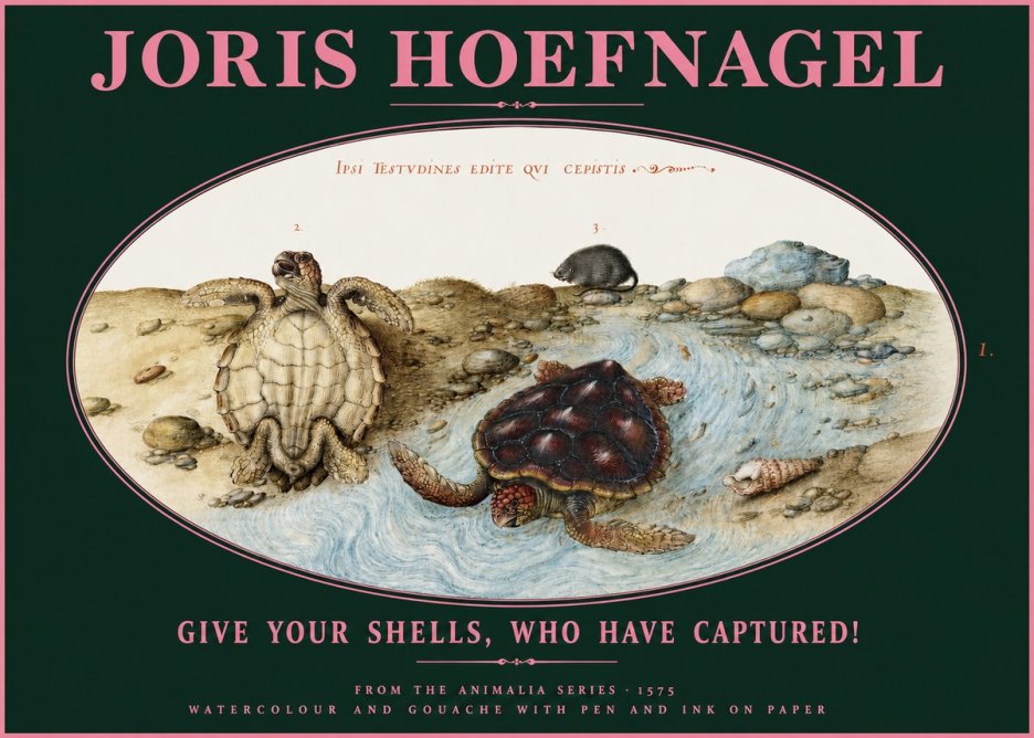 Joris Hoefnagel Two Turtles in a Stream No3 - Affiche