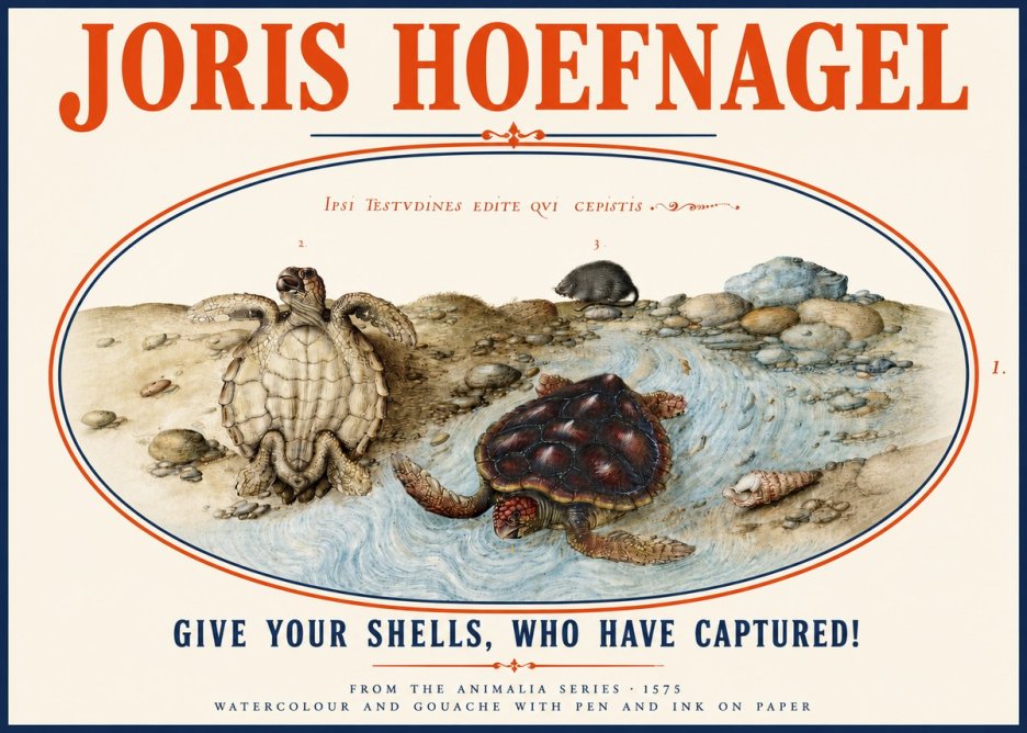 Joris Hoefnagel Two Turtles in a Stream No4 - Affiche