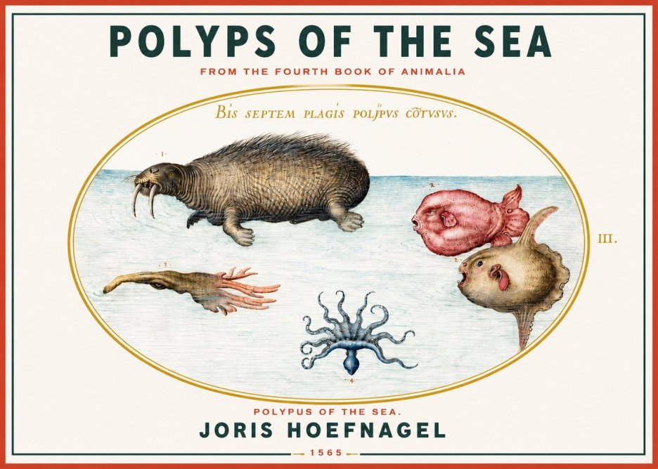 Joris Hoefnagel Polyps of the Sea No3 - Affiche