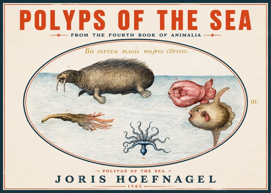 Joris Hoefnagel Polyps of the Sea No4 - Affiche