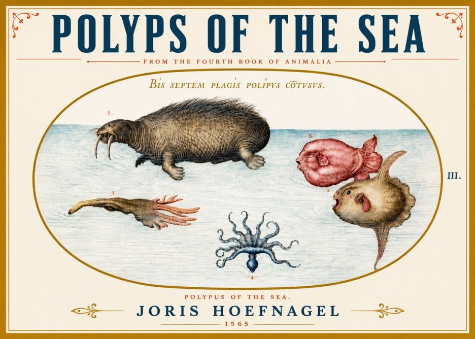 Joris Hoefnagel Polyps of the Sea No5 - Affiche