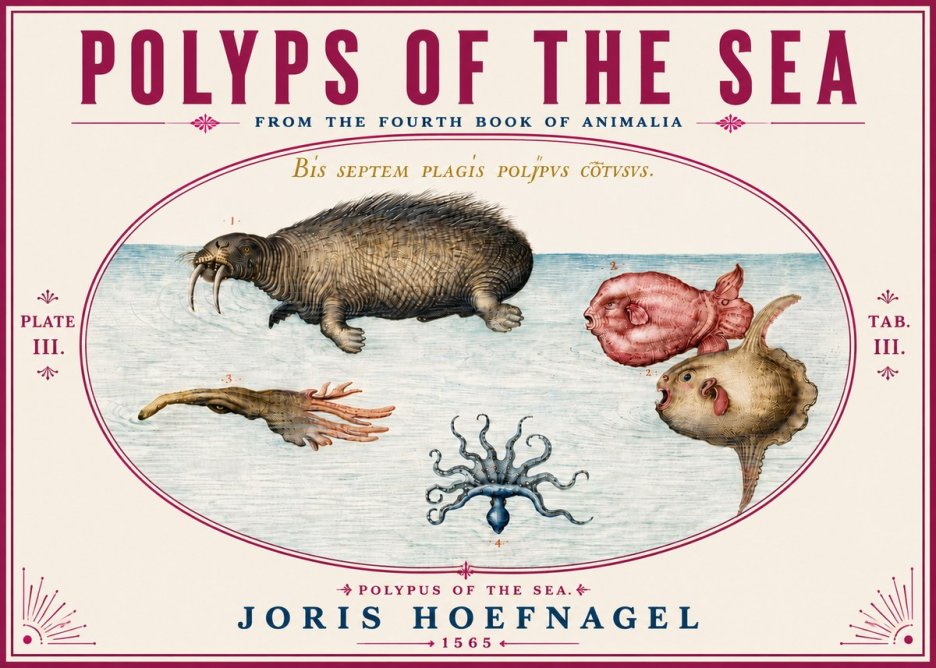 Joris Hoefnagel Polyps of the Sea No6 - Affiche