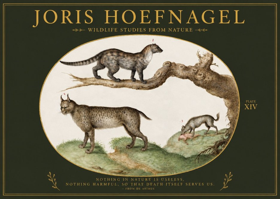 Joris Hoefnagel Wildlife Studies from Nature - Plate Xiv No2 - Affiche