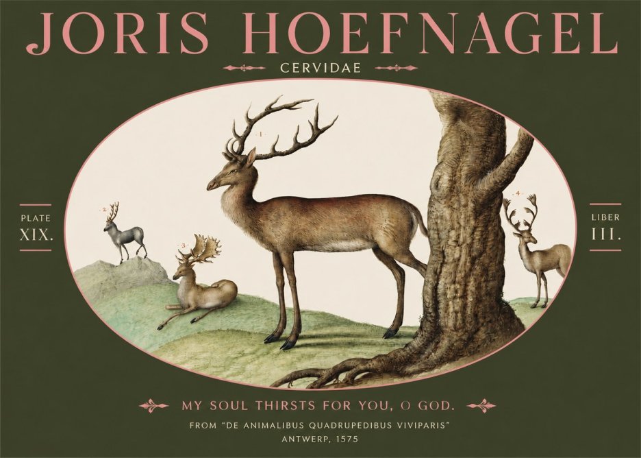 Joris Hoefnagel Deer at the Fountains No4 - Affiche