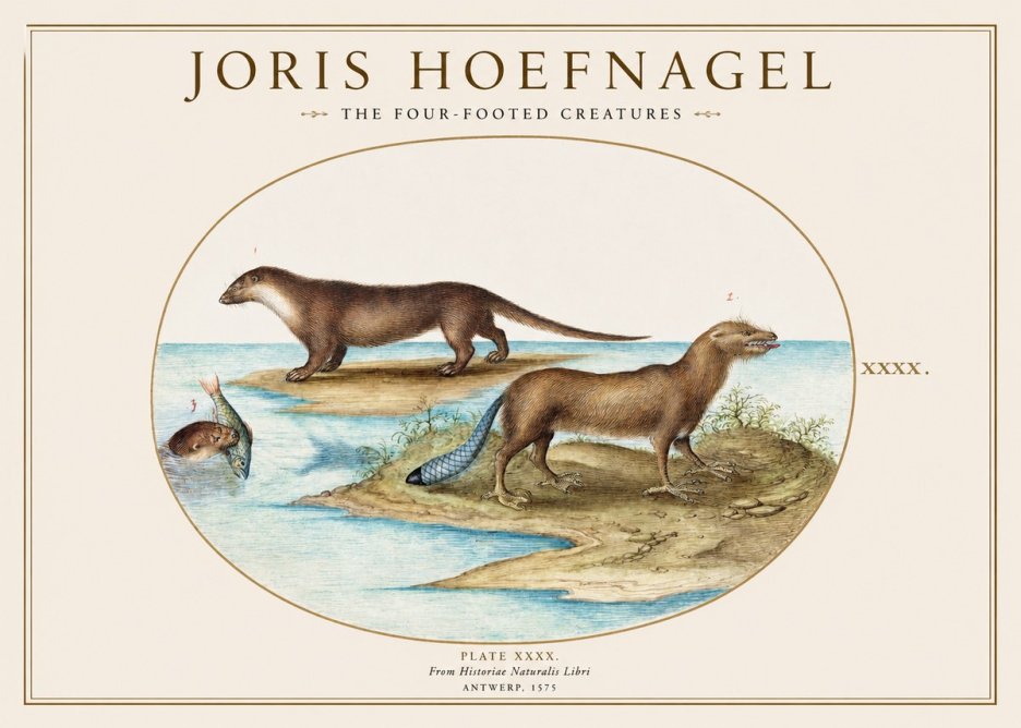 Joris Hoefnagel The Four-footed Creatures No1 - Affiche