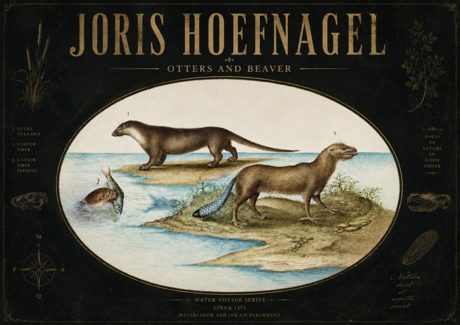 Joris Hoefnagel The Four-footed Creatures No4 - Affiche