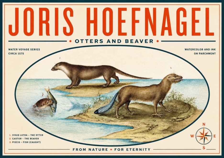 Joris Hoefnagel The Four-footed Creatures No6 - Affiche