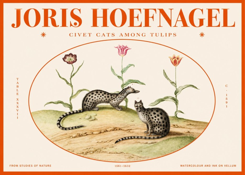 Joris Hoefnagel Civet Cats Among Tulips No2 - Affiche