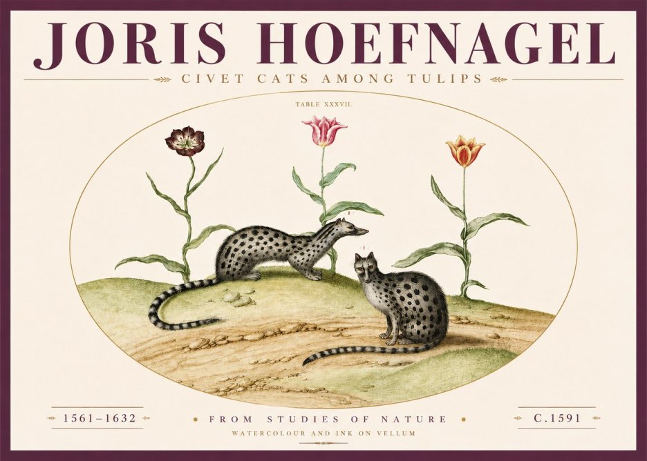 Joris Hoefnagel Civet Cats Among Tulips No4 - Affiche
