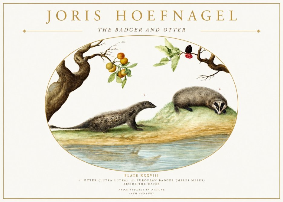 Joris Hoefnagel Studies of Animals and Nature Xxxxiii No2 - Affiche