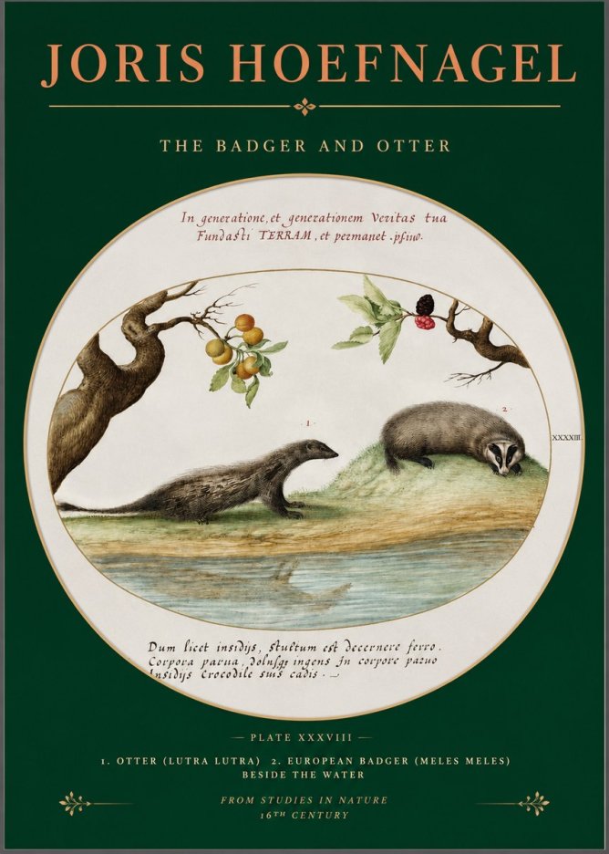 Joris Hoefnagel Studies of Animals and Nature Xxxxiii No3 - Affiche