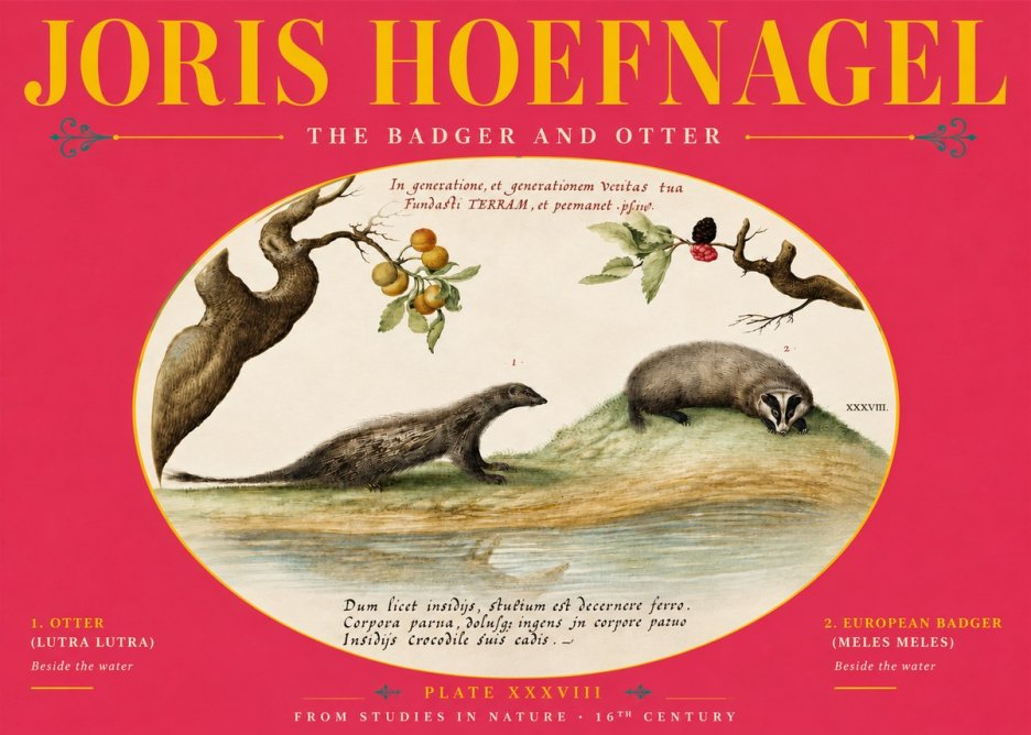 Joris Hoefnagel Studies of Animals and Nature Xxxxiii No6 - Affiche