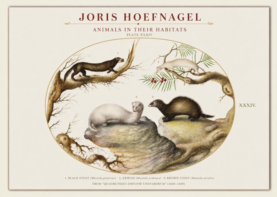 Joris Hoefnagel Animals in Their Habitats Plate Xxxiv No1 - Affiche