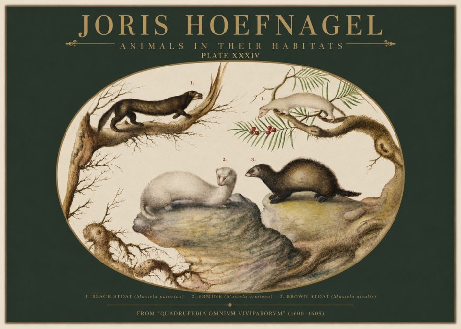 Joris Hoefnagel Animals in Their Habitats Plate Xxxiv No2 - Affiche