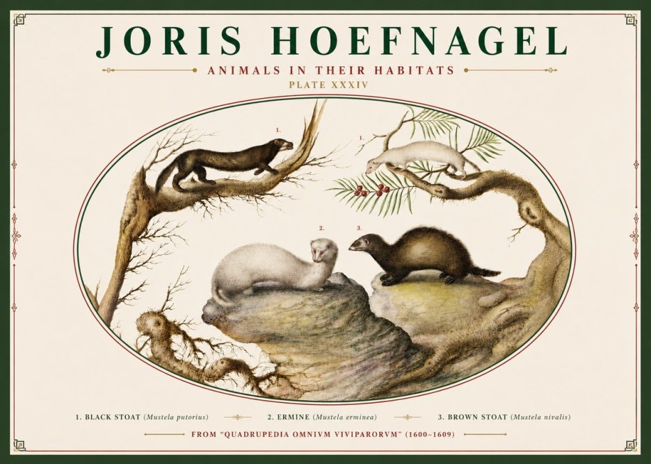 Joris Hoefnagel Animals in Their Habitats Plate Xxxiv No3 - Affiche