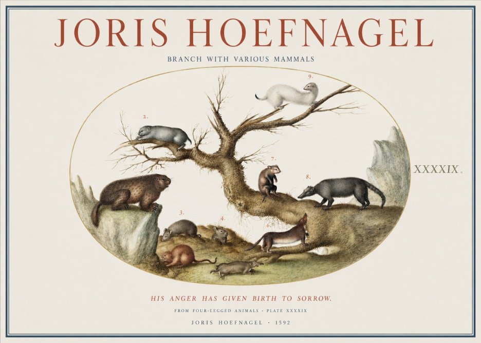 Joris Hoefnagel Branch with Various Mammals No1 - Affiche
