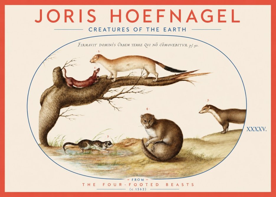 Joris Hoefnagel Creatures of the Earth I No3 - Affiche