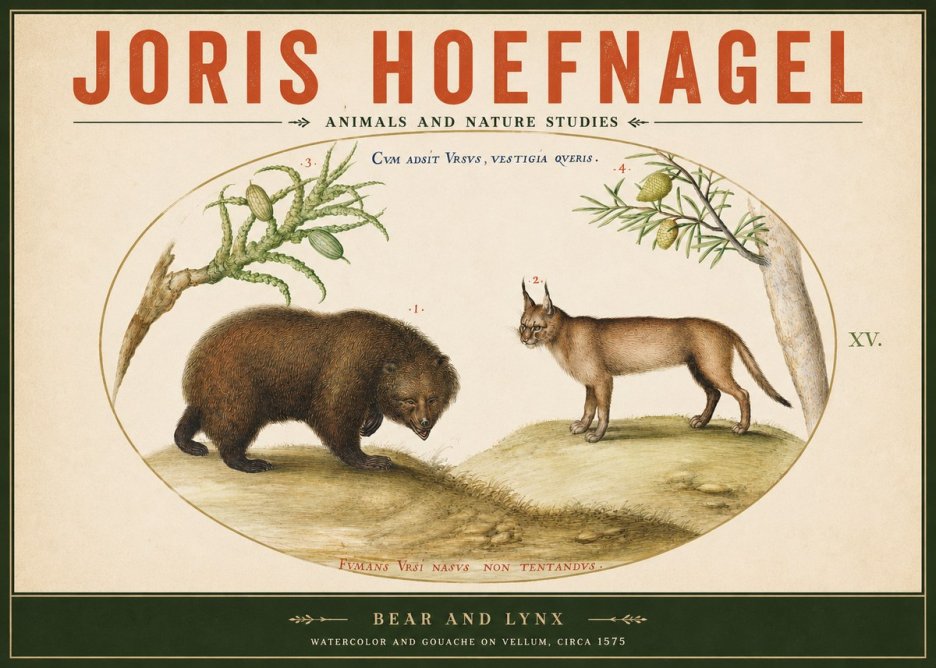 Joris Hoefnagel Bear and Lynx No2 - Affiche