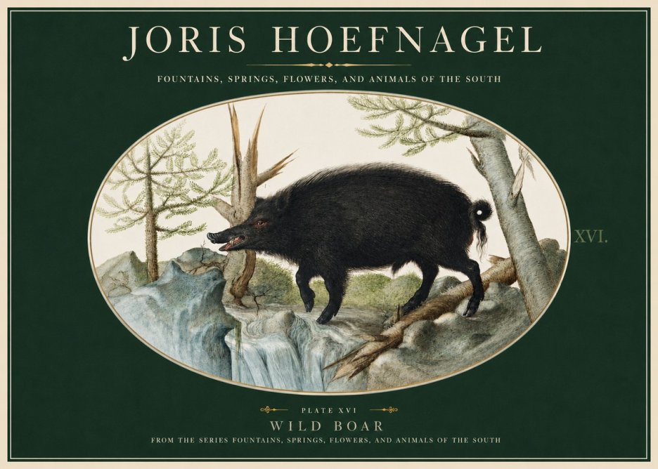 Joris Hoefnagel Fountains, Springs, Flowers, and Animals of the South - Plate Xvi No2 - Affiche