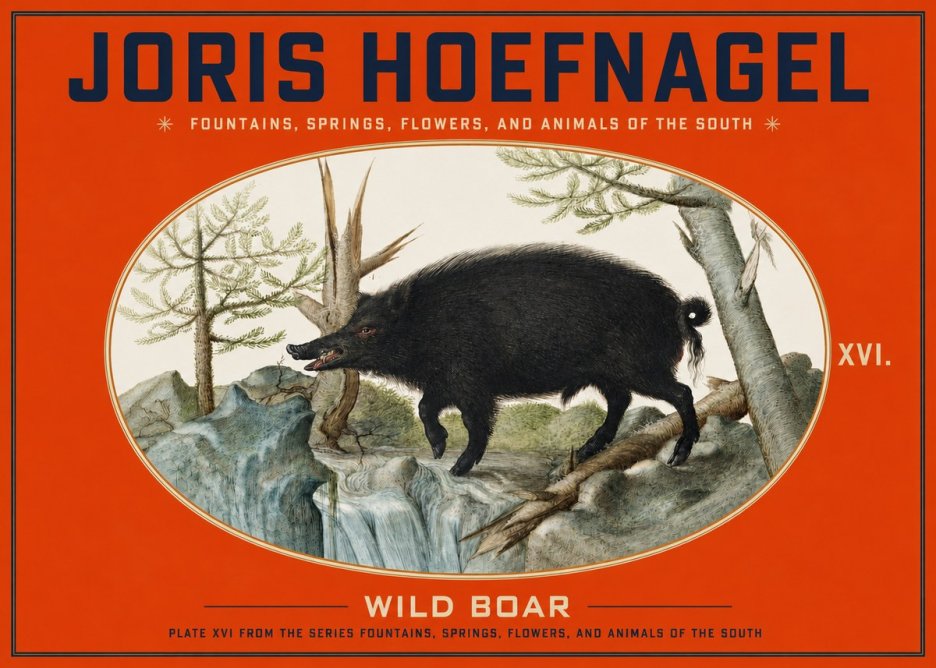 Joris Hoefnagel Fountains, Springs, Flowers, and Animals of the South - Plate Xvi No3 - Affiche