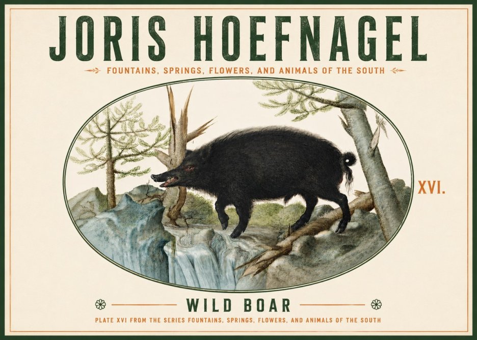 Joris Hoefnagel Fountains, Springs, Flowers, and Animals of the South - Plate Xvi No4 - Affiche