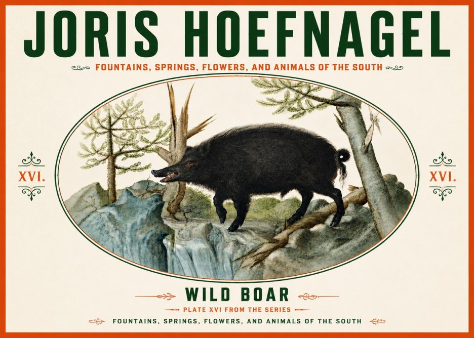 Joris Hoefnagel Fountains, Springs, Flowers, and Animals of the South - Plate Xvi No6 - Affiche