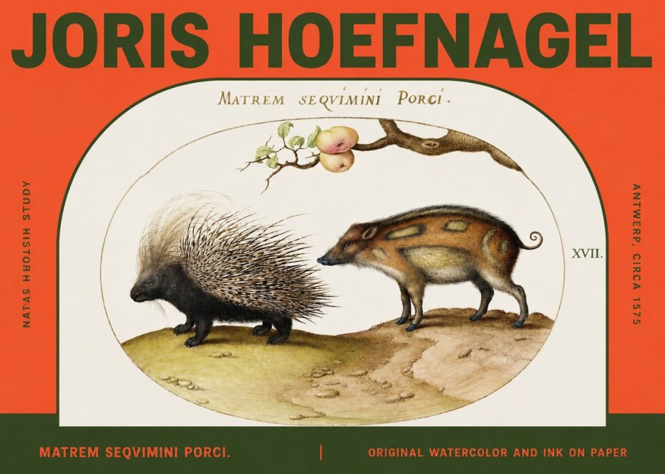 Joris Hoefnagel Matrem Seqvimini Porci. No2 - Affiche